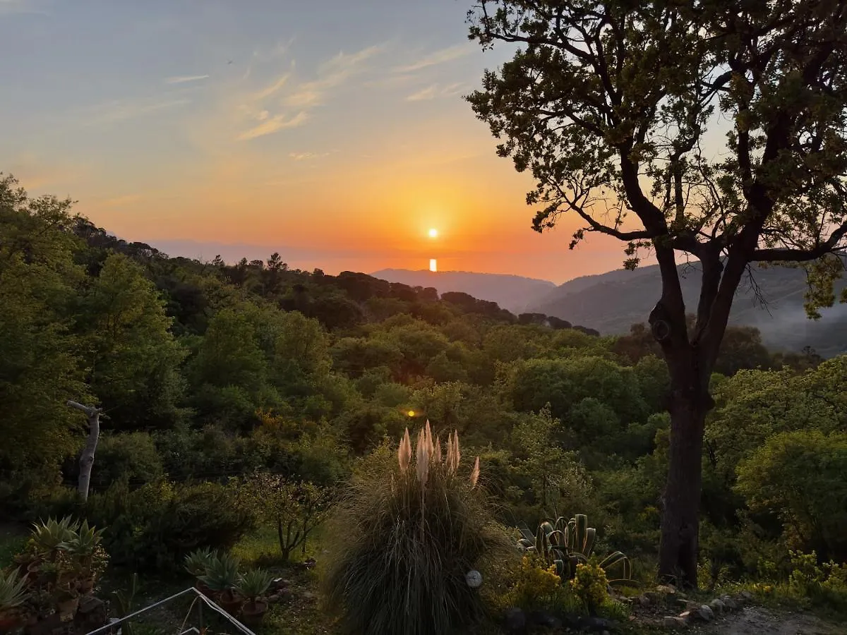 Cefalu Forest Hideout Italy