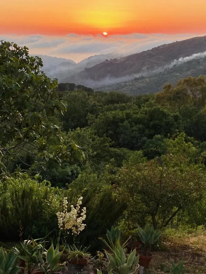 Guest house Cefalu Forest Hideout Italy